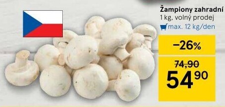 Žampiony zahradní
