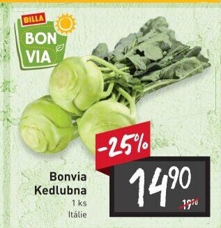 Kedlubna bílá Billa Bonvia