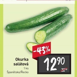 Okurka hadovka