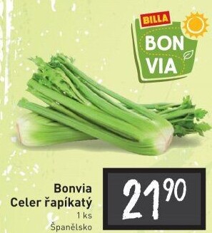 Celer řapíkatý Billa Bonvia
