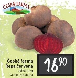 Červená řepa Česká Farma