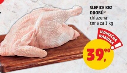 Slepice