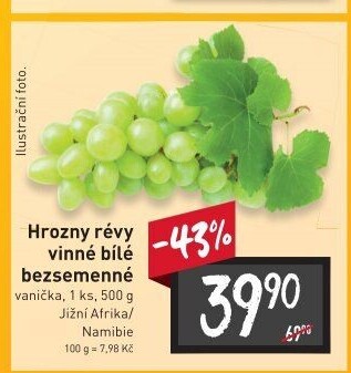 Hrozny bílé bezsemenné