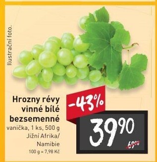 Hrozny bílé bezsemenné