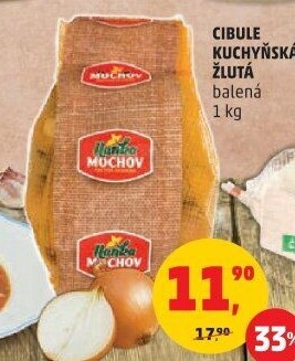Cibule kuchyňská žlutá Hanka Mochov