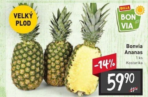 Ananas Billa Bonvia