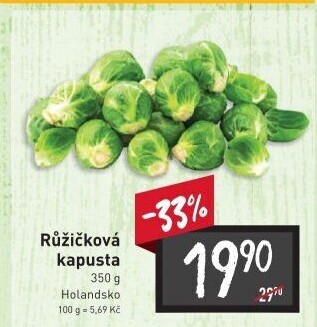 Kapusta růžičková