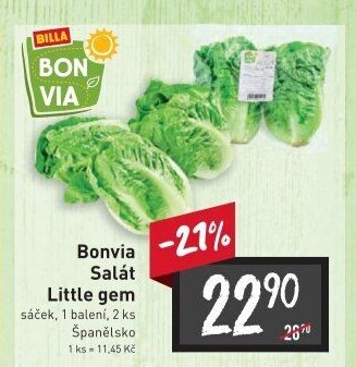 Salát little gem Billa Bonvia