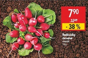 Ředkvičky svazek