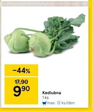 Kedlubna bílá