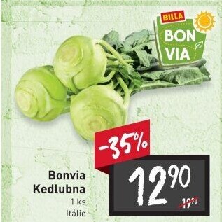 Kedlubna bílá Billa Bonvia