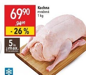 Kachna mražená