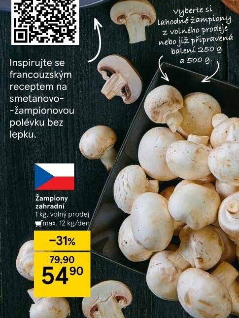 Žampiony zahradní