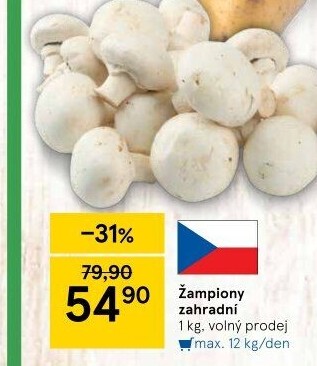 Žampiony zahradní