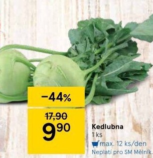 Kedlubna bílá