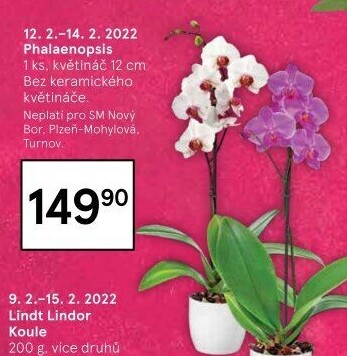 Orchidej