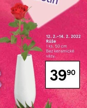 Řezané růže
