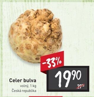 Celer bulva