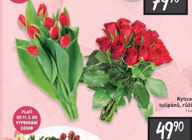 Řezané tulipány