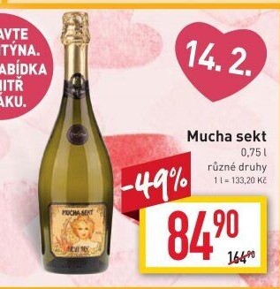 Sekty Mucha