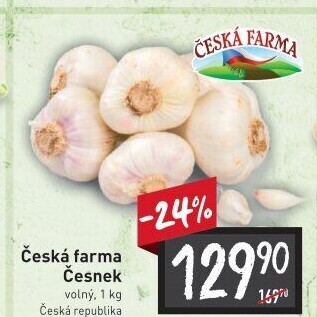 Česnek Česká farma