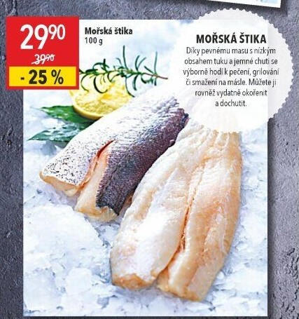 Štika mořská