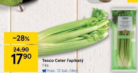 Celer řapíkatý Tesco