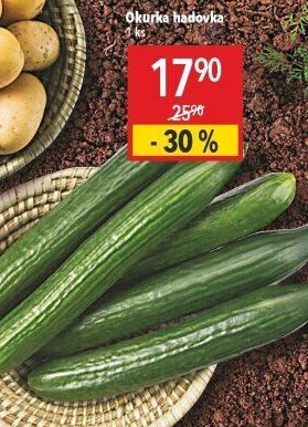 Okurka hadovka