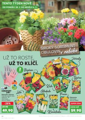 akční leták Kaufland 23.2.2022-1.3.2022