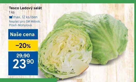 Salát ledový Tesco
