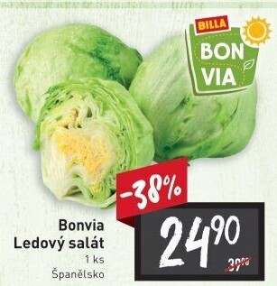 Salát ledový Billa Bonvia