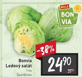 Salát ledový Billa Bonvia
