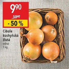 Cibule kuchyňská žlutá