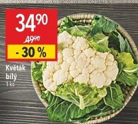 Květák