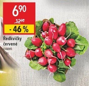 Ředkvičky svazek
