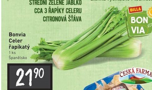 Celer řapíkatý Billa Bonvia