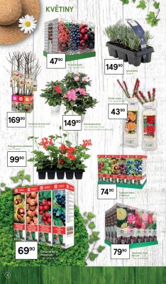 akční leták Tesco 1.3.2022-23.3.2022