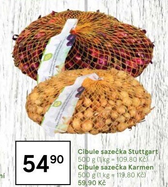 Cibule sazečka