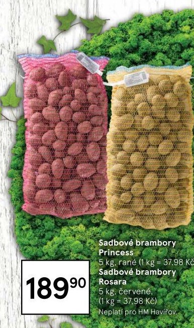 Sadbové brambory