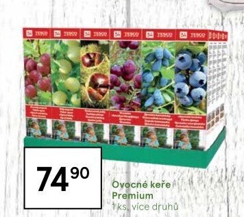 Sazenice ovocných keříků Tesco