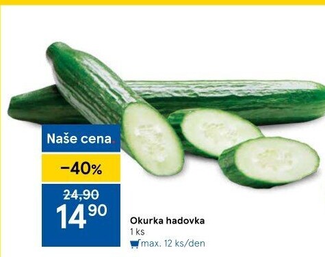 Okurka hadovka
