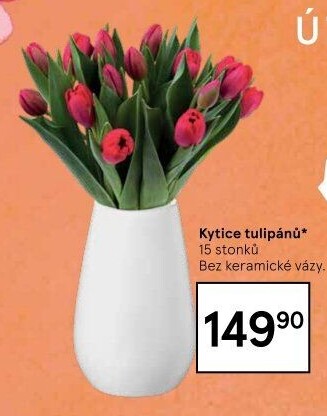 Řezané tulipány