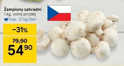 Žampiony zahradní