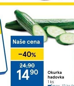 Okurka hadovka