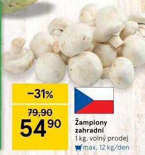 Žampiony zahradní