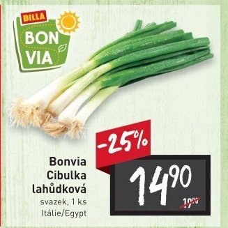 Jarní cibule svazek Billa Bonvia
