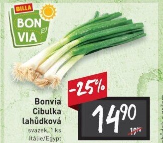 Jarní cibule svazek Billa Bonvia