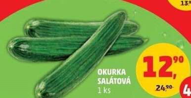 Okurka hadovka