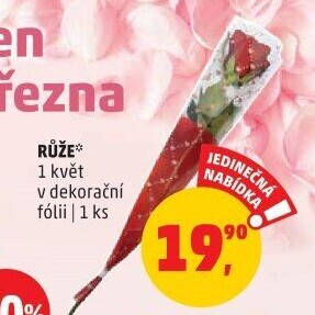 Řezané růže