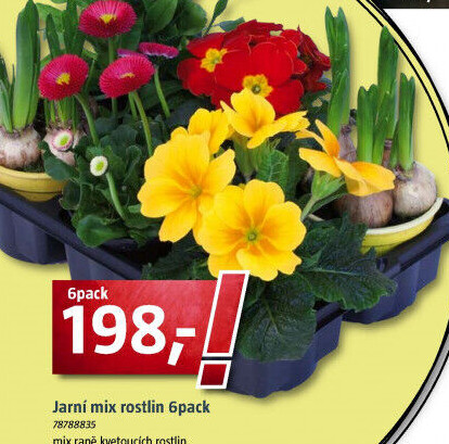 Mix kvetoucích rostlin